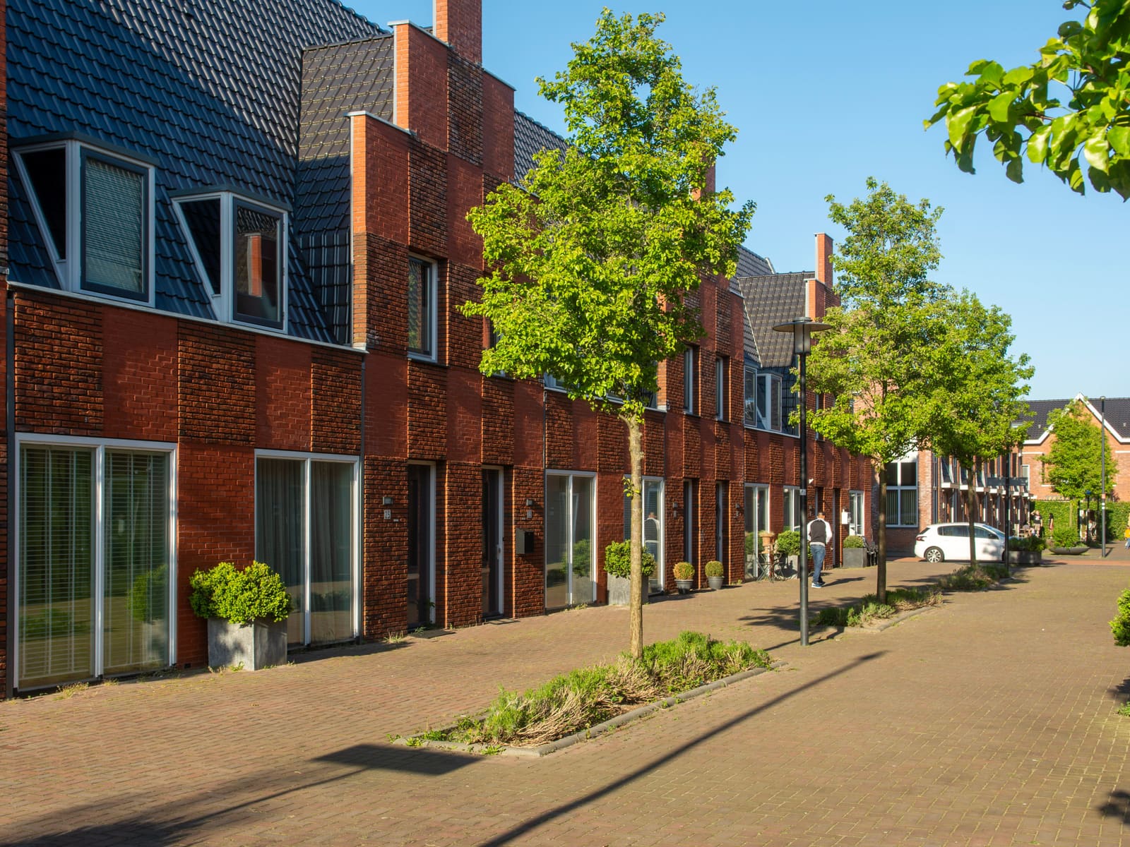 Nederlandse woonstraat met rijtjeshuizen